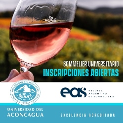 Sommelier Universitario